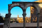 Orientation post-bac à Albi